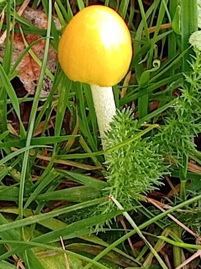 October 